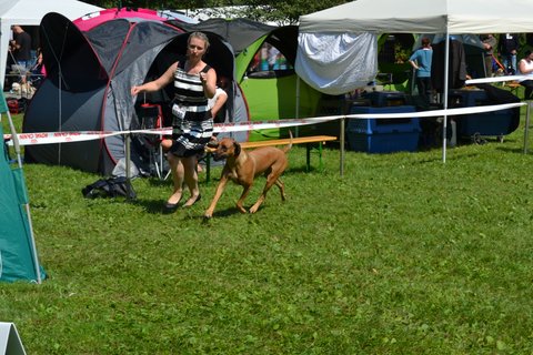 DSC_0591 (2)