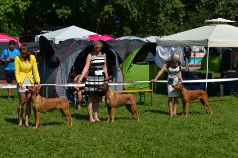 DSC_0594 (2)