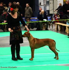 jyvaskyla_kv_8.11.14_0452_636x